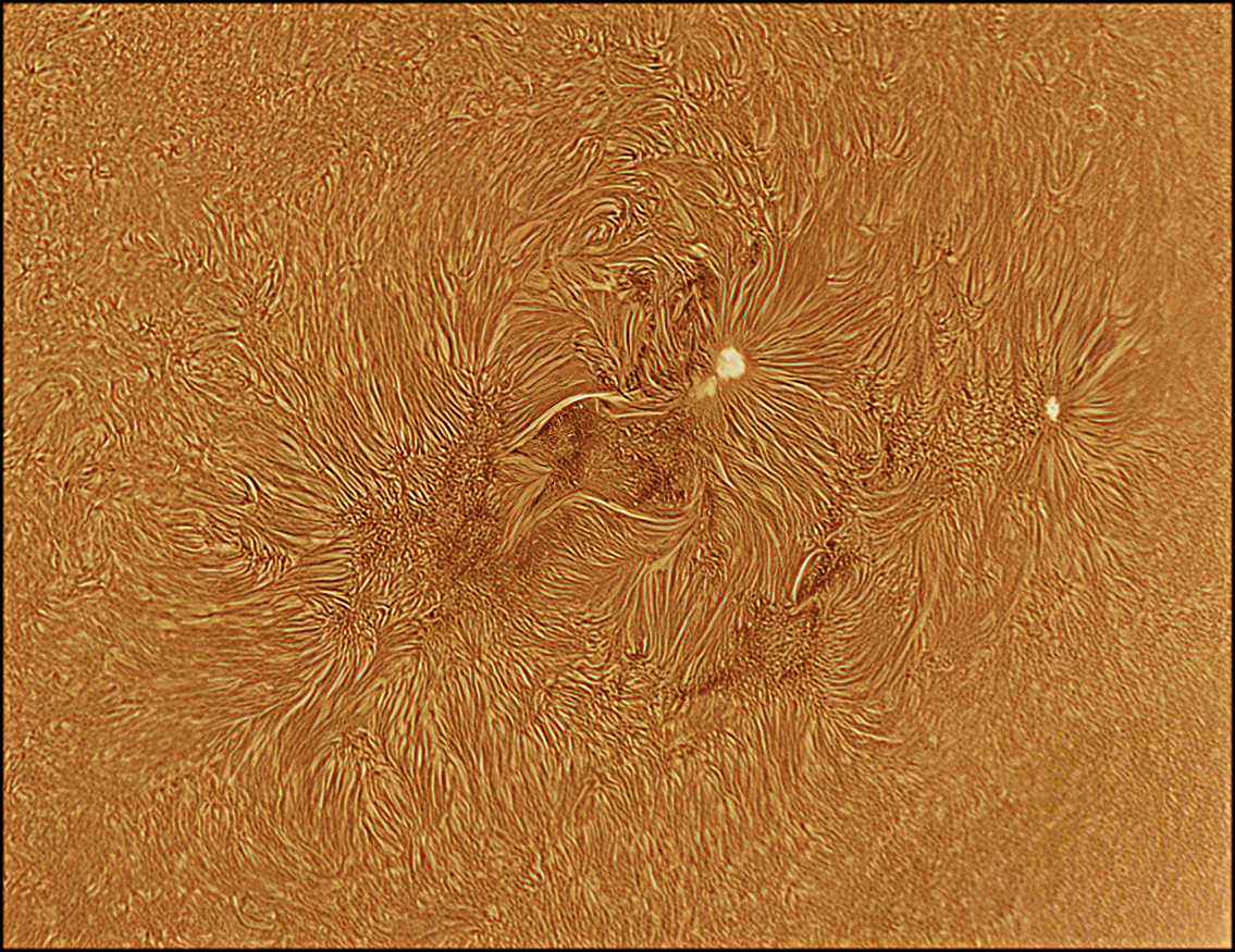 Sunspots on 10/29/20